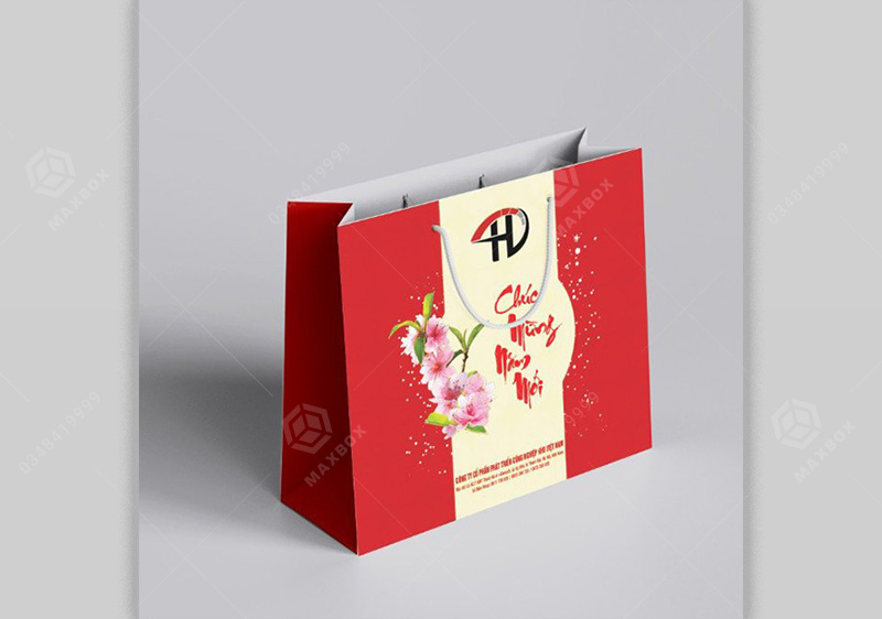 Thiết kế in túi giấy Hà Nội độc đáo sáng tạo